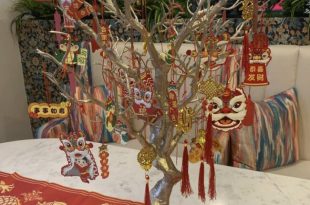 York Manor residents embrace Chinese New Year